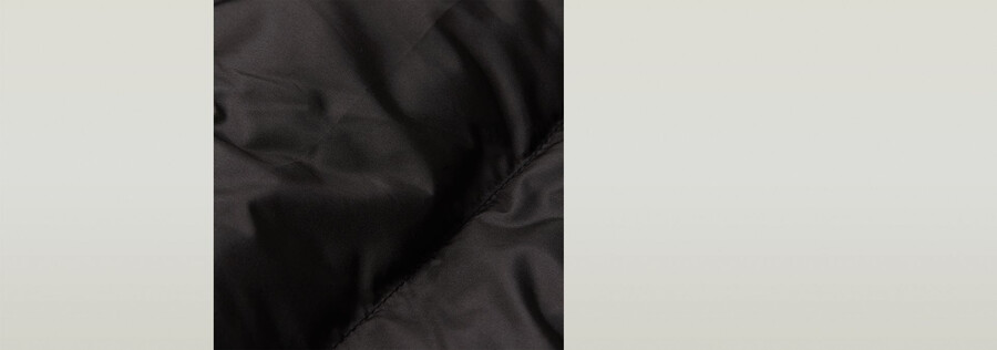 whistler long puffer